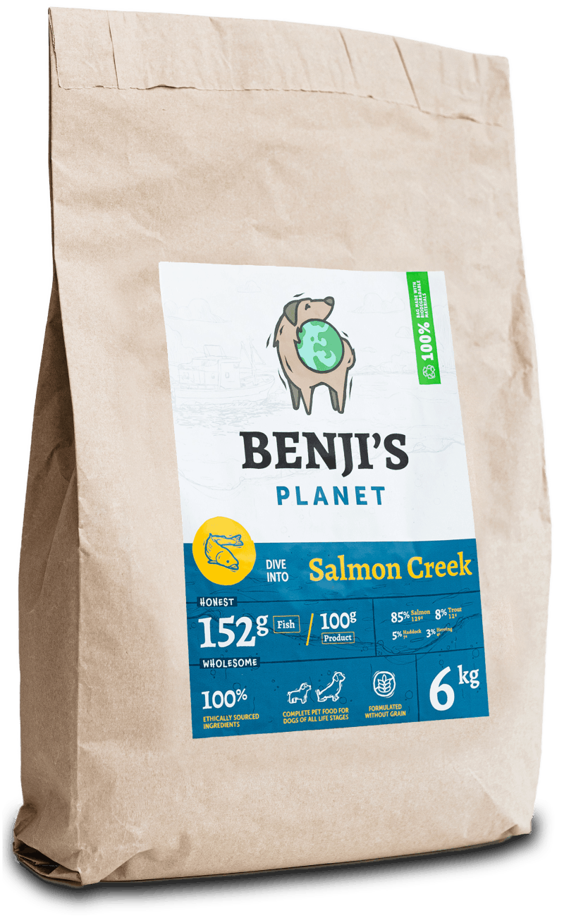 Karma Sucha dla Psa o Smaku Łososia Benji's Planet