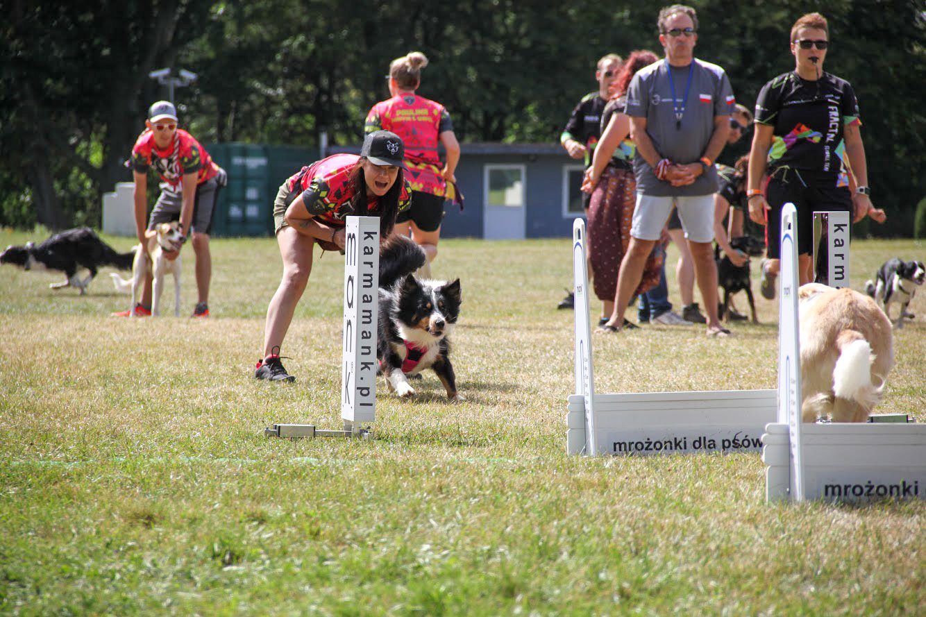 Zawody Flyball fot. Adrianna Lewandowska
