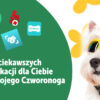Najciekawsze aplikacje dla Ciebie i Twojego Psa