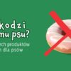 10 produktów spożywczych szkodliwych dla psów