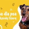 Imiona dla psa