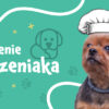 Czym karmić szczeniaka?