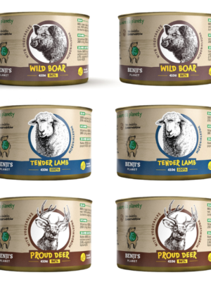 Benji's Planet zestaw Leśny