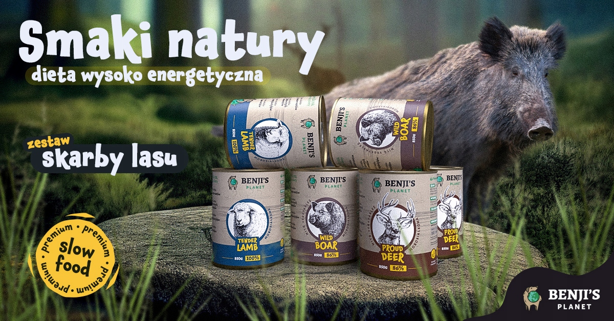 Benji-s-Planet-Zestaw-Lesny-850g-